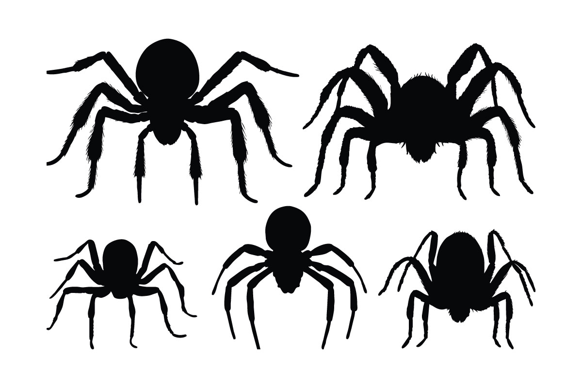 Spider sitting silhouette collection