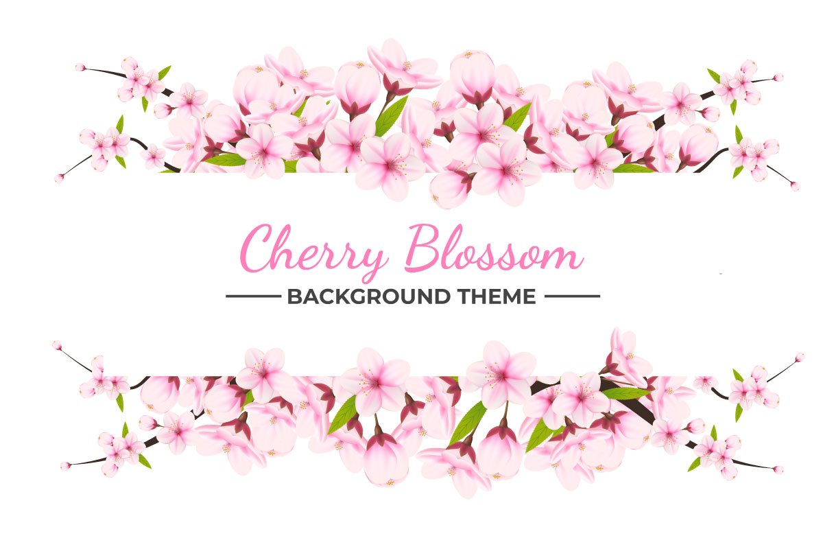 Vector watercolor cherry blossom  cherry blossom flower blooming ,vector pink sakura flower design