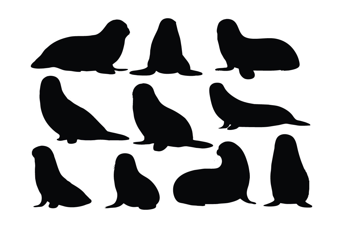 Small sea lion silhouette set vector