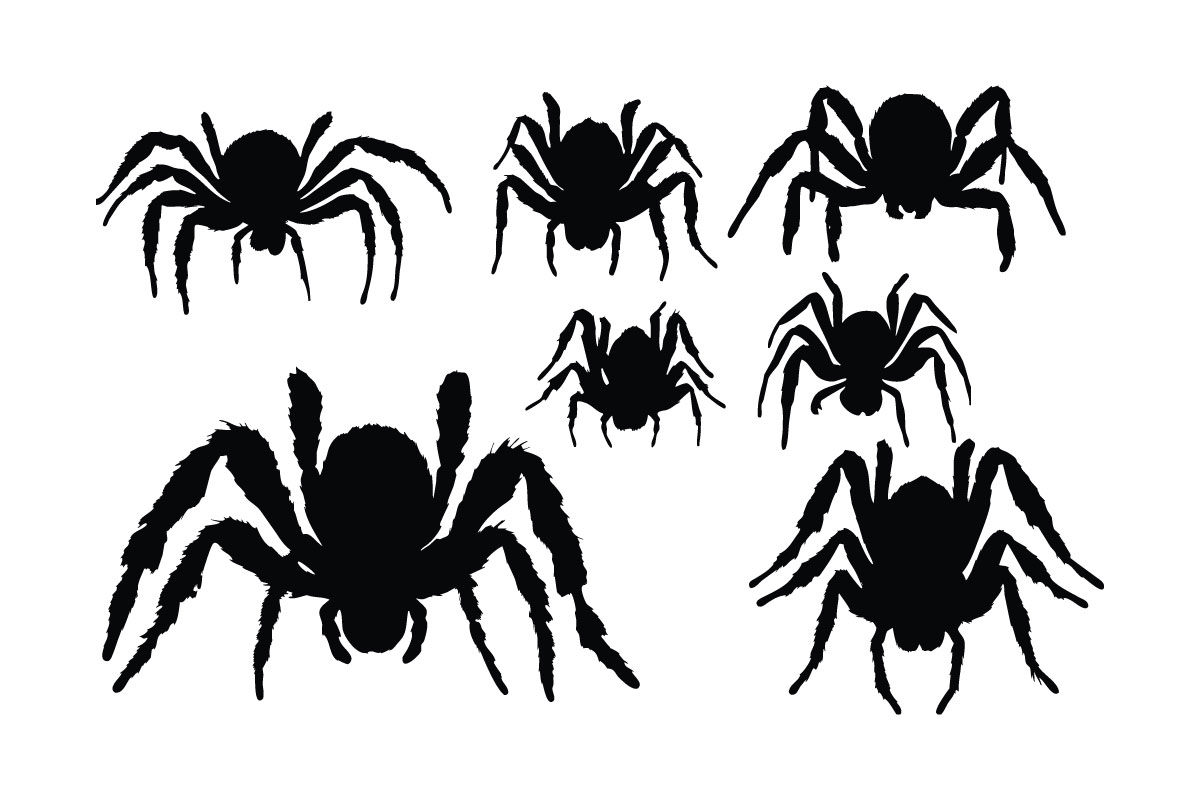Poisonous spider silhouette set vector