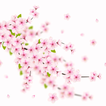 <a class=ContentLinkGreen href=/fr/kits_graphiques_templates_illustrations.html>Illustrations</a></font> sakura chute 336194