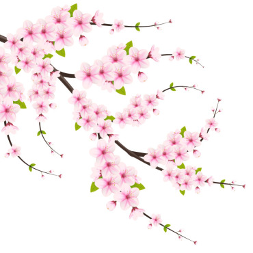 <a class=ContentLinkGreen href=/fr/kits_graphiques_templates_illustrations.html>Illustrations</a></font> sakura chute 336195