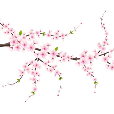 <a class=ContentLinkGreen href=/fr/kits_graphiques_templates_illustrations.html>Illustrations</a></font> fleur sakura 336196