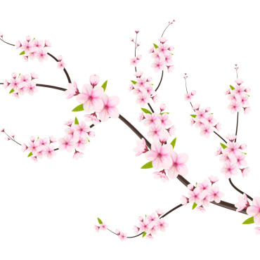 <a class=ContentLinkGreen href=/fr/kits_graphiques_templates_illustrations.html>Illustrations</a></font> sakura chute 336198