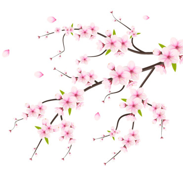 <a class=ContentLinkGreen href=/fr/kits_graphiques_templates_illustrations.html>Illustrations</a></font> sakura chute 336199