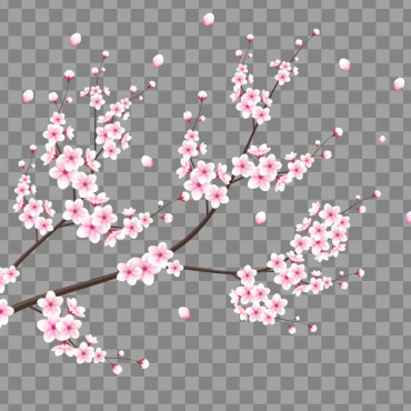 <a class=ContentLinkGreen href=/fr/kits_graphiques_templates_illustrations.html>Illustrations</a></font> sakura chute 336201