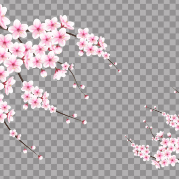 <a class=ContentLinkGreen href=/fr/kits_graphiques_templates_illustrations.html>Illustrations</a></font> sakura chute 336203