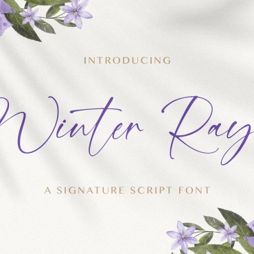 Signature Script Fonts 336282