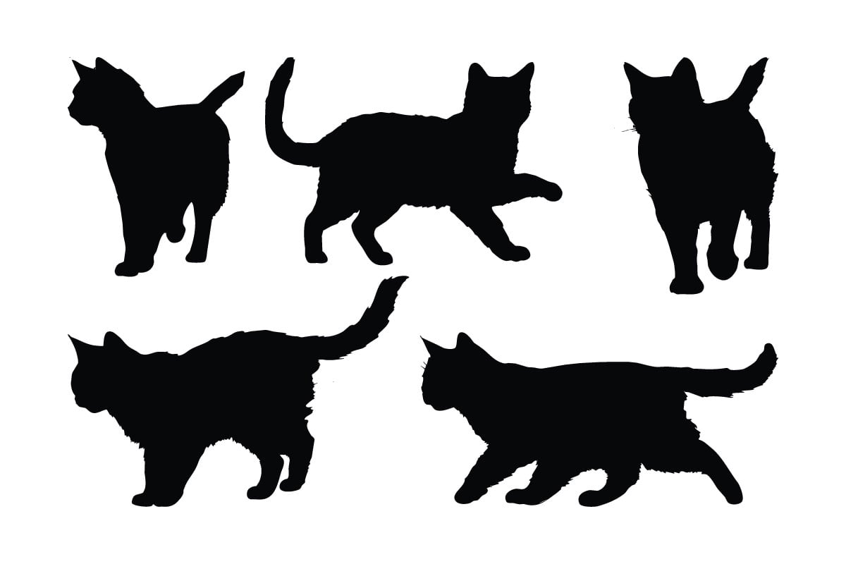 Domestic cats walking silhouette vector