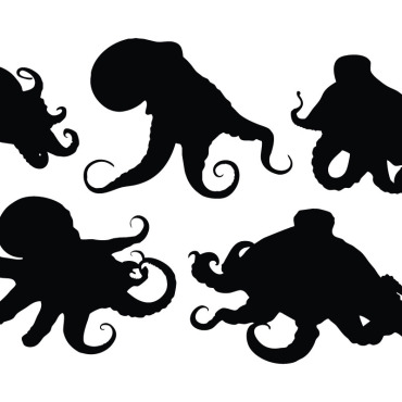 Octopus Octopus Illustrations Templates 336457