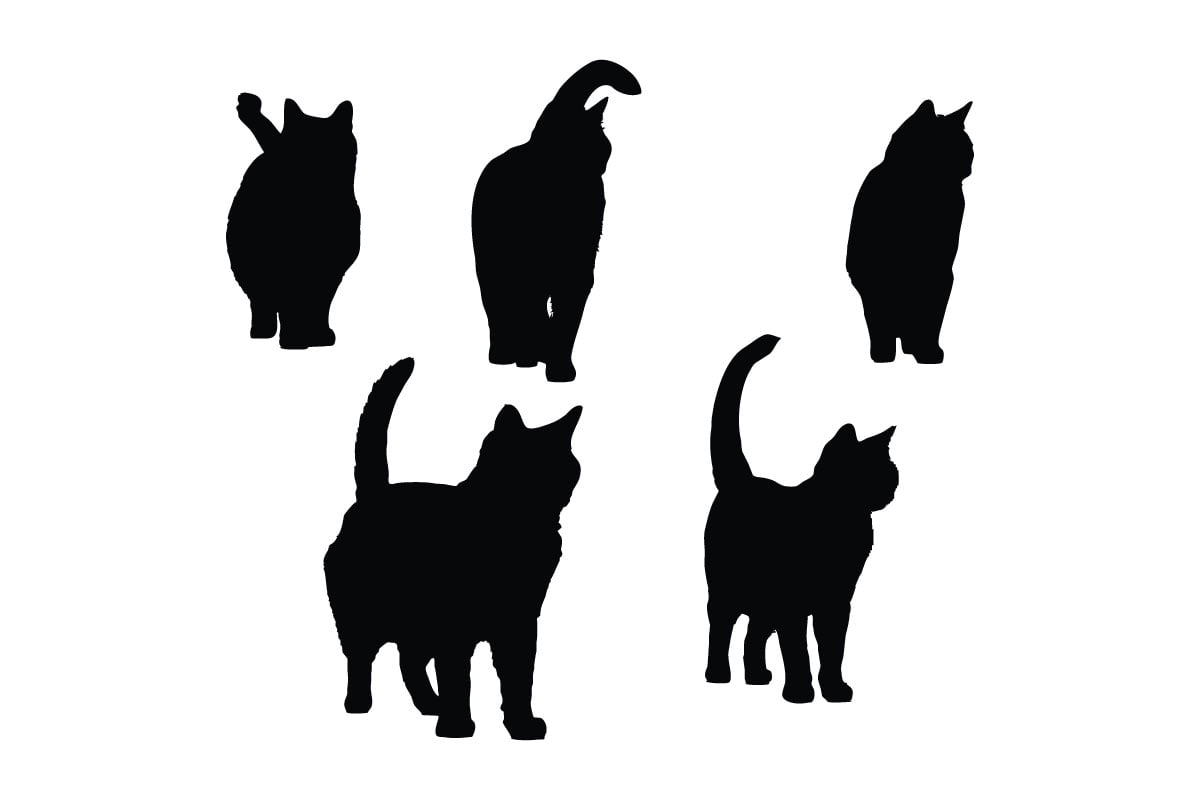 Feline walking front view silhouette set