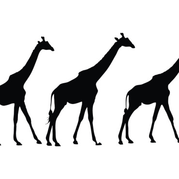 Giraffe Silhouette Illustrations Templates 336475