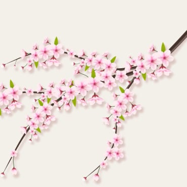 <a class=ContentLinkGreen href=/fr/kits_graphiques_templates_illustrations.html>Illustrations</a></font> sakura chute 336480