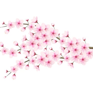 <a class=ContentLinkGreen href=/fr/kits_graphiques_templates_illustrations.html>Illustrations</a></font> sakura chute 336481