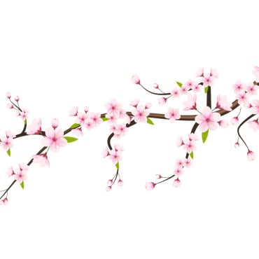 <a class=ContentLinkGreen href=/fr/kits_graphiques_templates_illustrations.html>Illustrations</a></font> sakura chute 336483