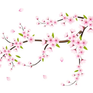 <a class=ContentLinkGreen href=/fr/kits_graphiques_templates_illustrations.html>Illustrations</a></font> sakura chute 336485