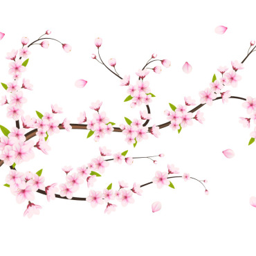 <a class=ContentLinkGreen href=/fr/kits_graphiques_templates_illustrations.html>Illustrations</a></font> sakura chute 336486