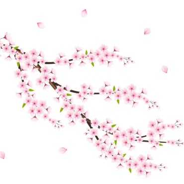 <a class=ContentLinkGreen href=/fr/kits_graphiques_templates_illustrations.html>Illustrations</a></font> sakura chute 336489