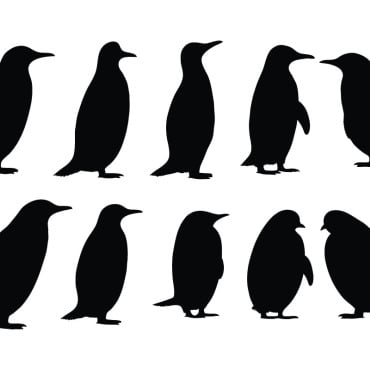 Penguin Silhouette Illustrations Templates 336509
