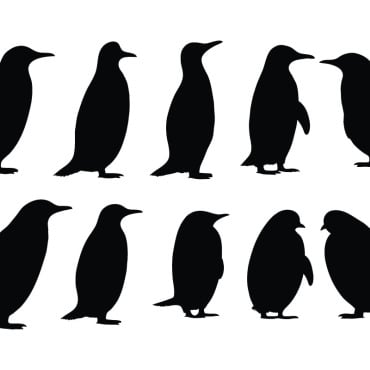 <a class=ContentLinkGreen href=/fr/kits_graphiques_templates_illustrations.html>Illustrations</a></font> penguen silhouette 336509