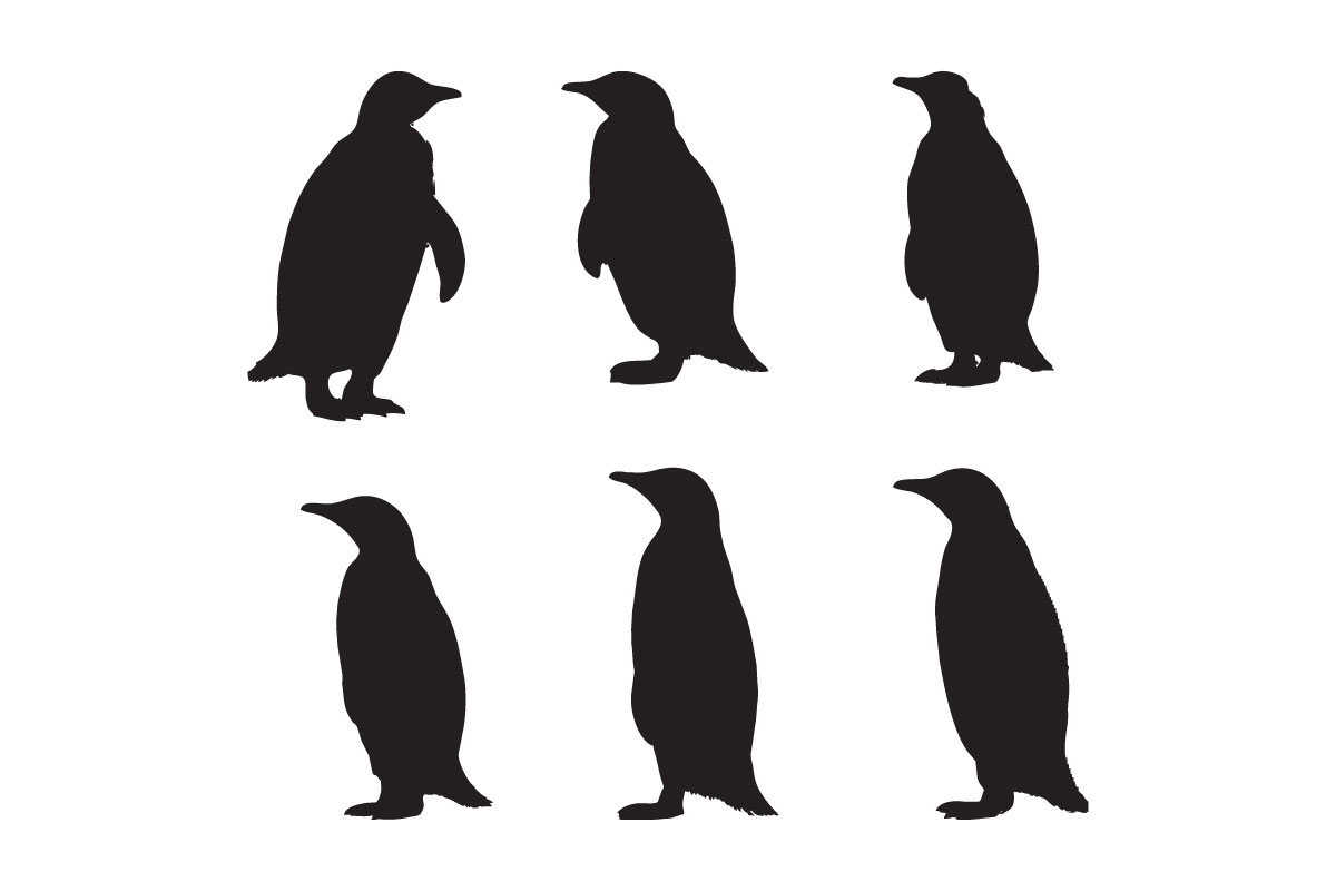 Penguins silhouette collection vector design