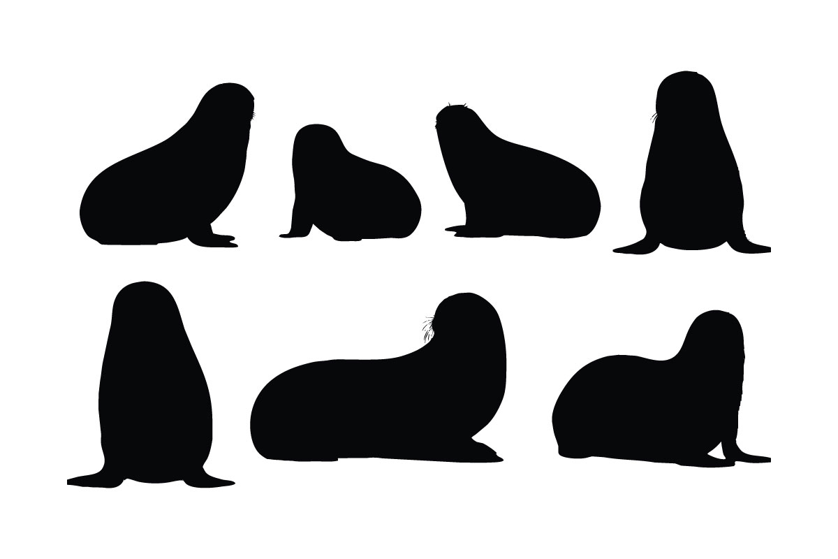 Wild sea lion laying silhouette vector