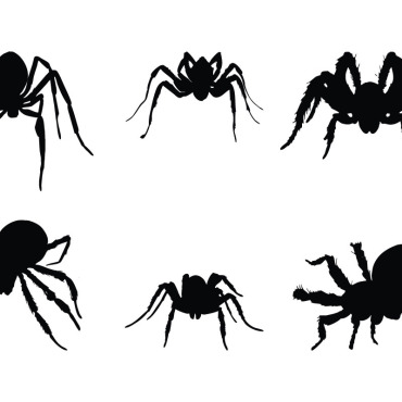 Spider Spider Illustrations Templates 336543