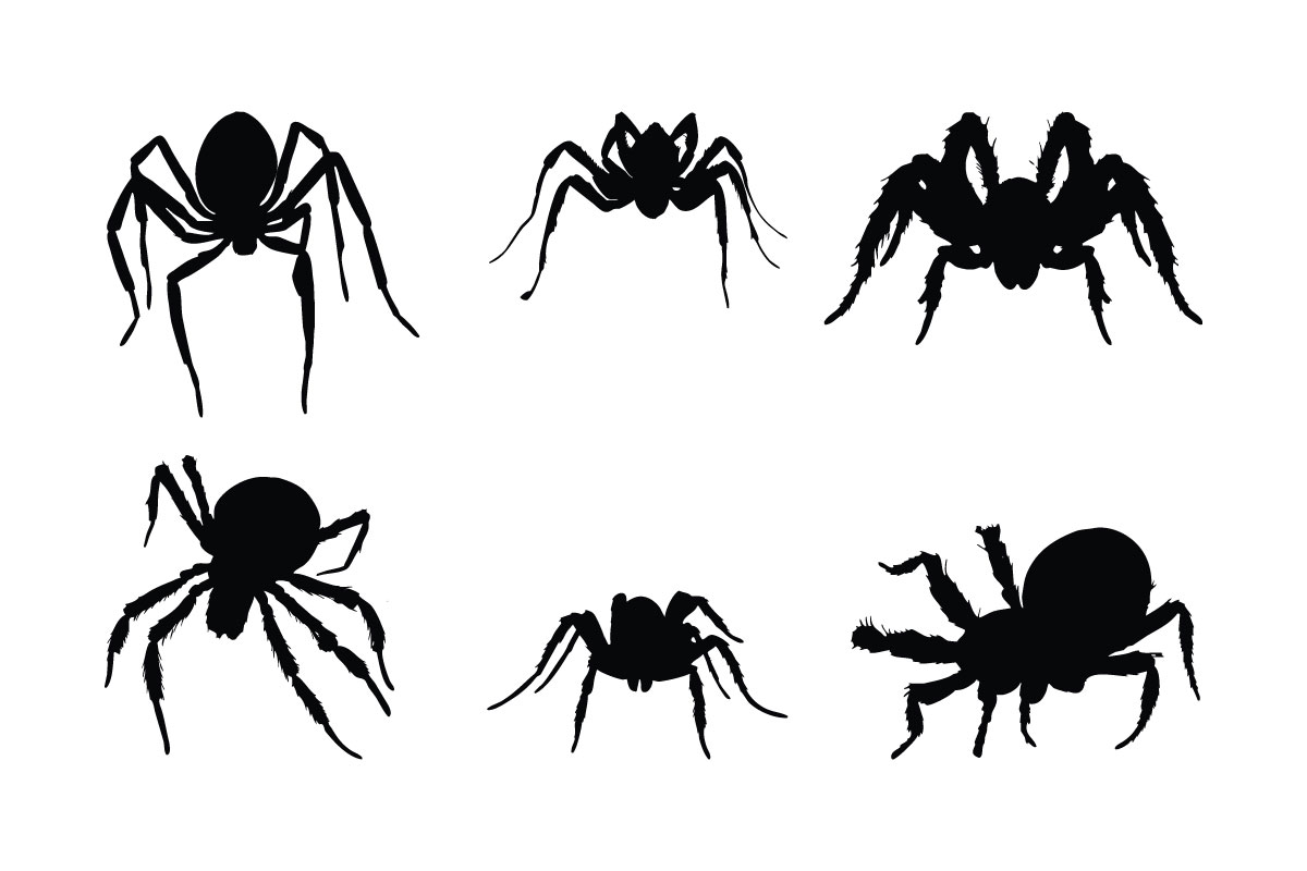 Spider full body silhouette collection