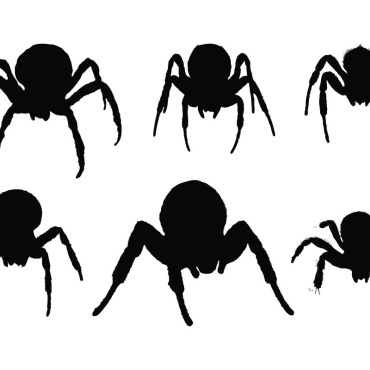 Spider Spider Illustrations Templates 336544