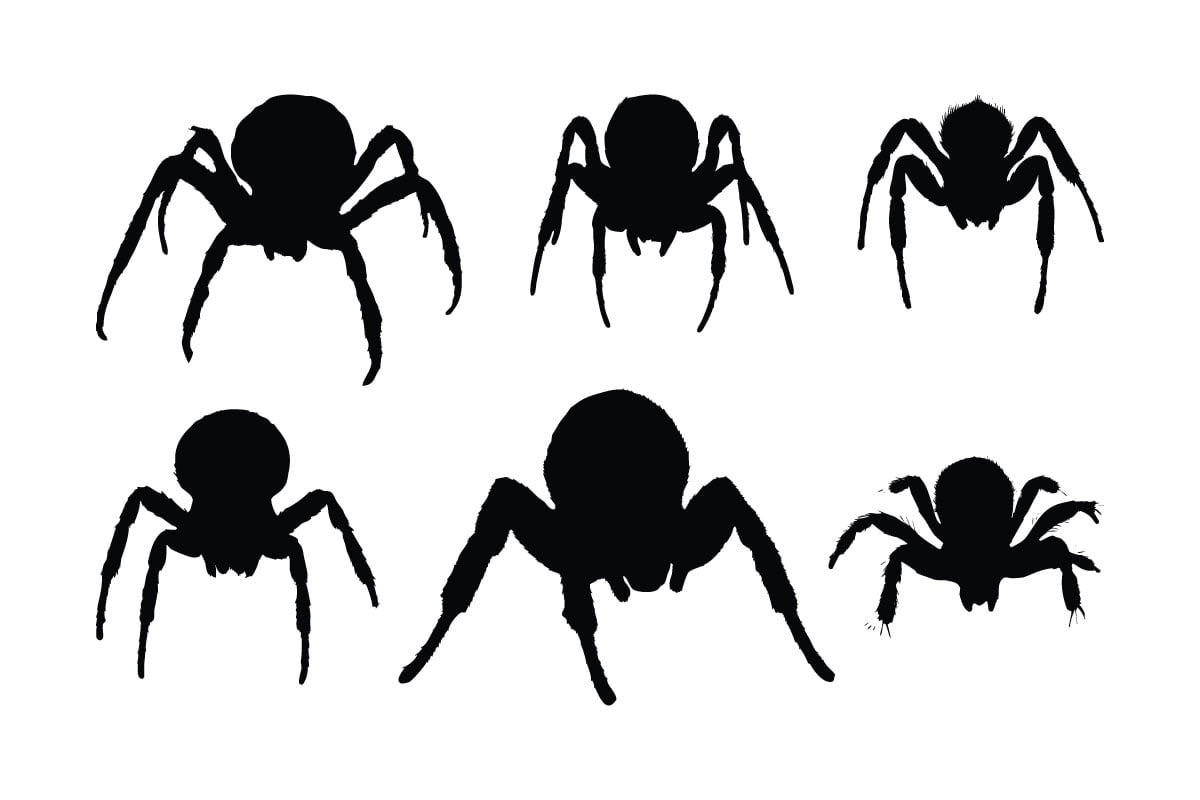 Insects sitting silhouette vector bundle