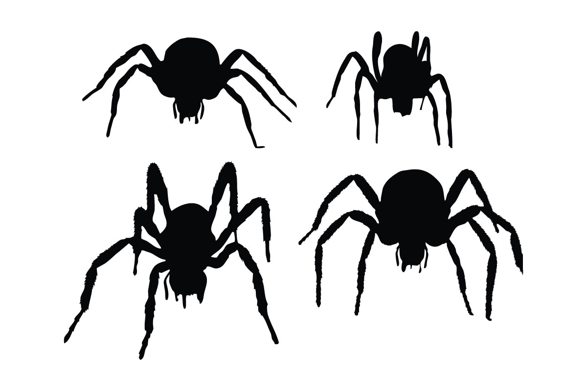 Spider silhouette collection vector