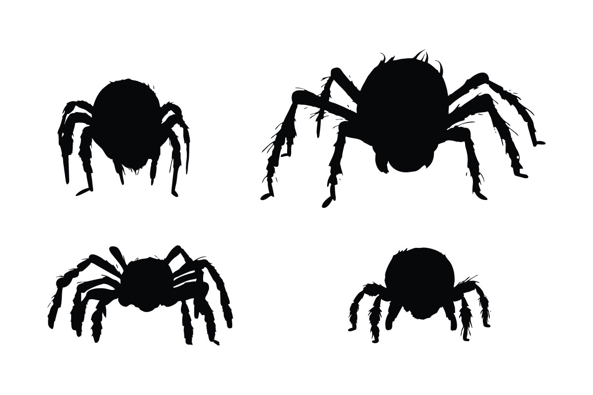 Furry spider sitting silhouette vector