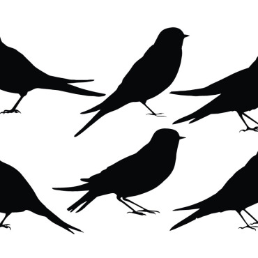 <a class=ContentLinkGreen href=/fr/kits_graphiques_templates_illustrations.html>Illustrations</a></font> swallows silhouette 336554