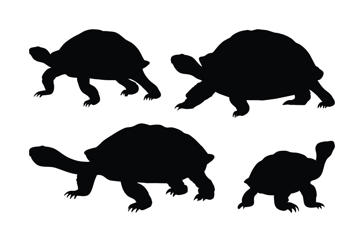 Tortoise walking silhouette set vector