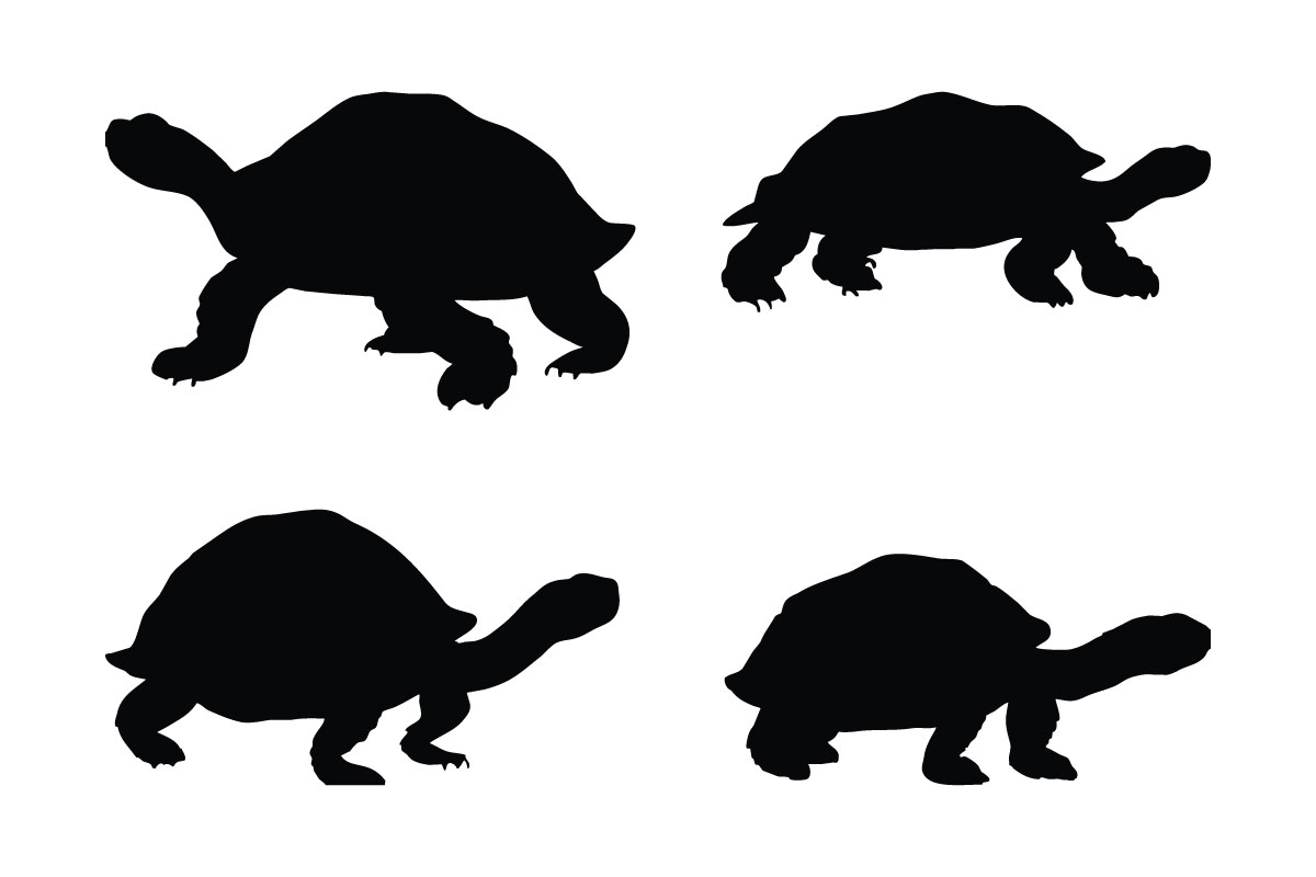Tortoise standing silhouette bundle vector