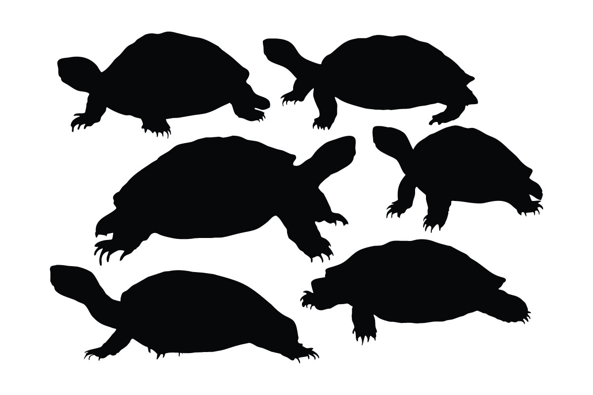 Wild tortoise crawling silhouette vector