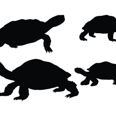 Crawling Turtle Illustrations Templates 336565