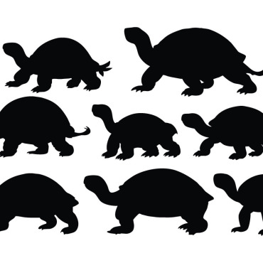 <a class=ContentLinkGreen href=/fr/kits_graphiques_templates_illustrations.html>Illustrations</a></font> crawleng tortue 336567