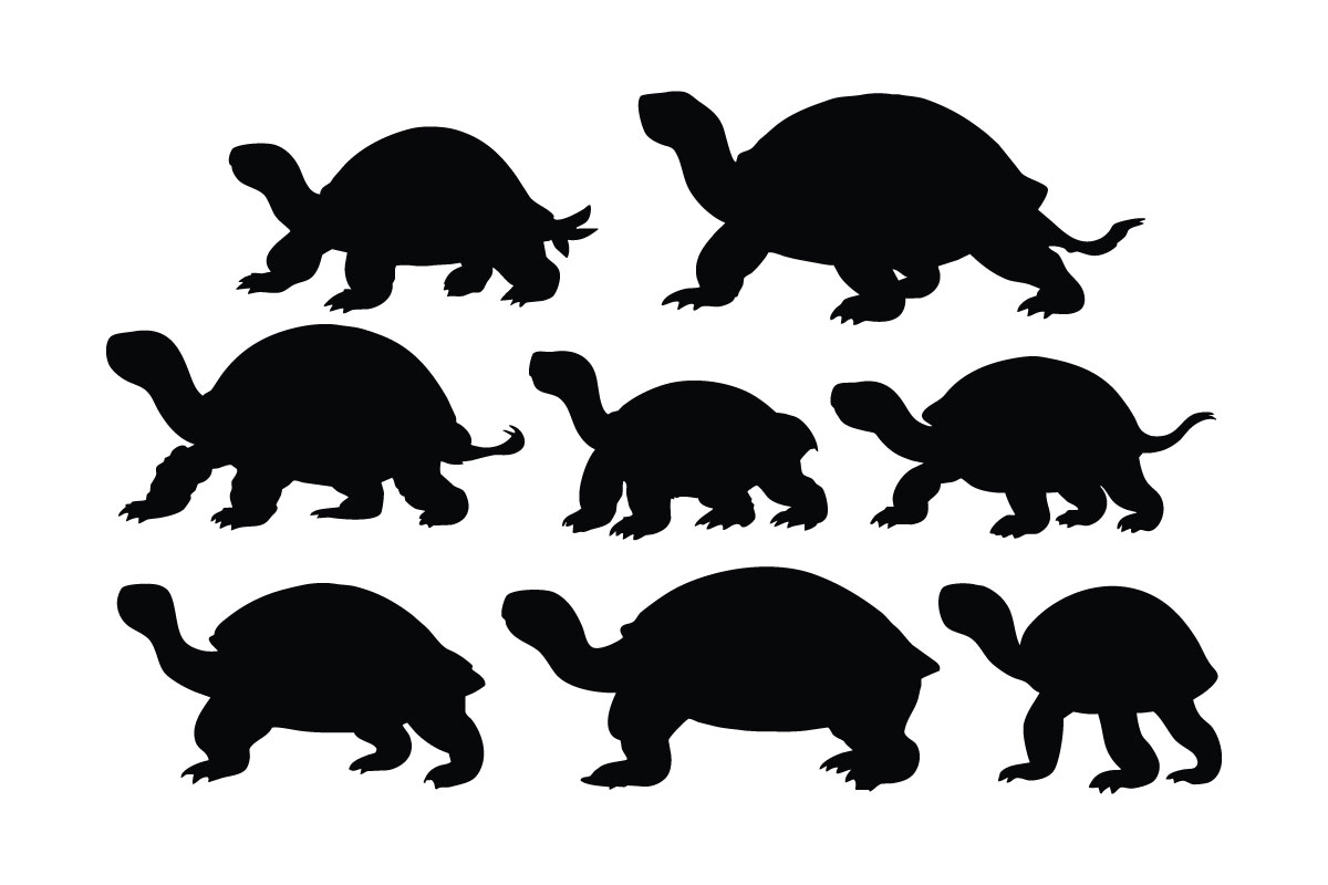 Tortoise and turtle silhouette vector