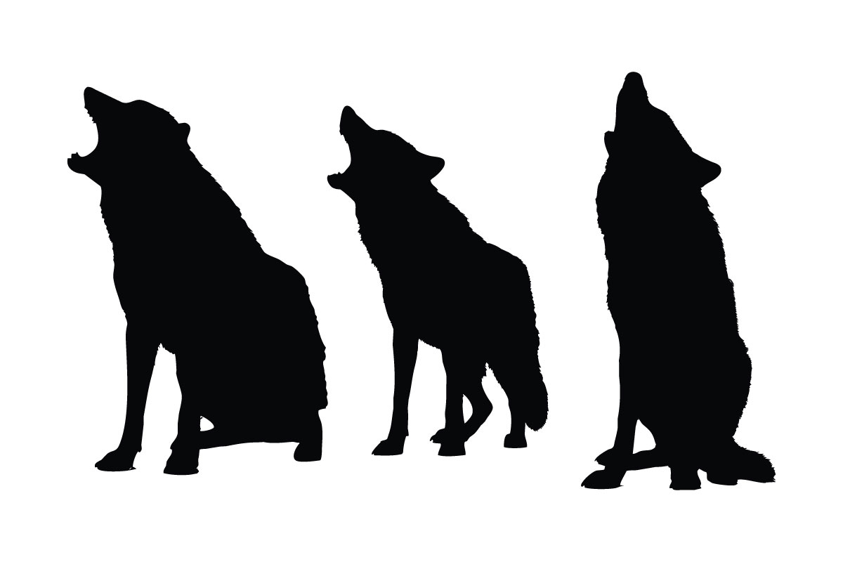 Wolves sitting silhouette set vector