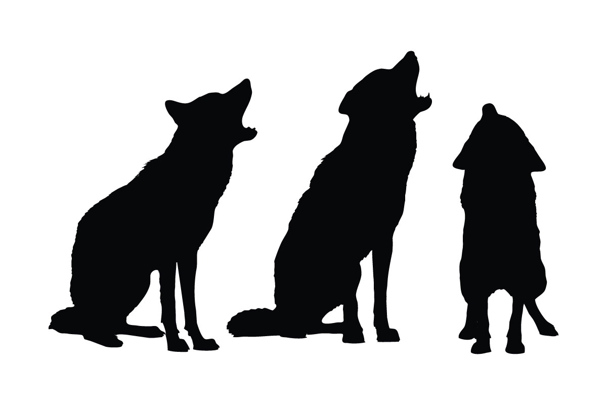 Carnivore wolves silhouette collection