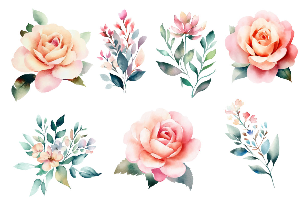 Watercolor rose flower bouquet illustration