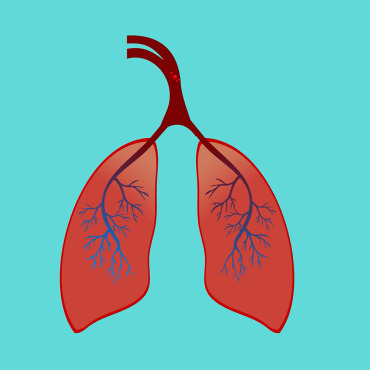 Healthy Breath Stock Video 337176