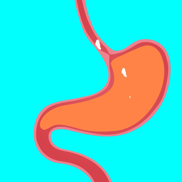 Consultation Esophagus Stock Video 337177