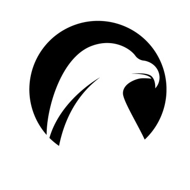 Eagle Abstract Logo Templates 337223