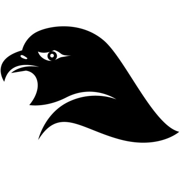 Eagle Abstract Logo Templates 337229