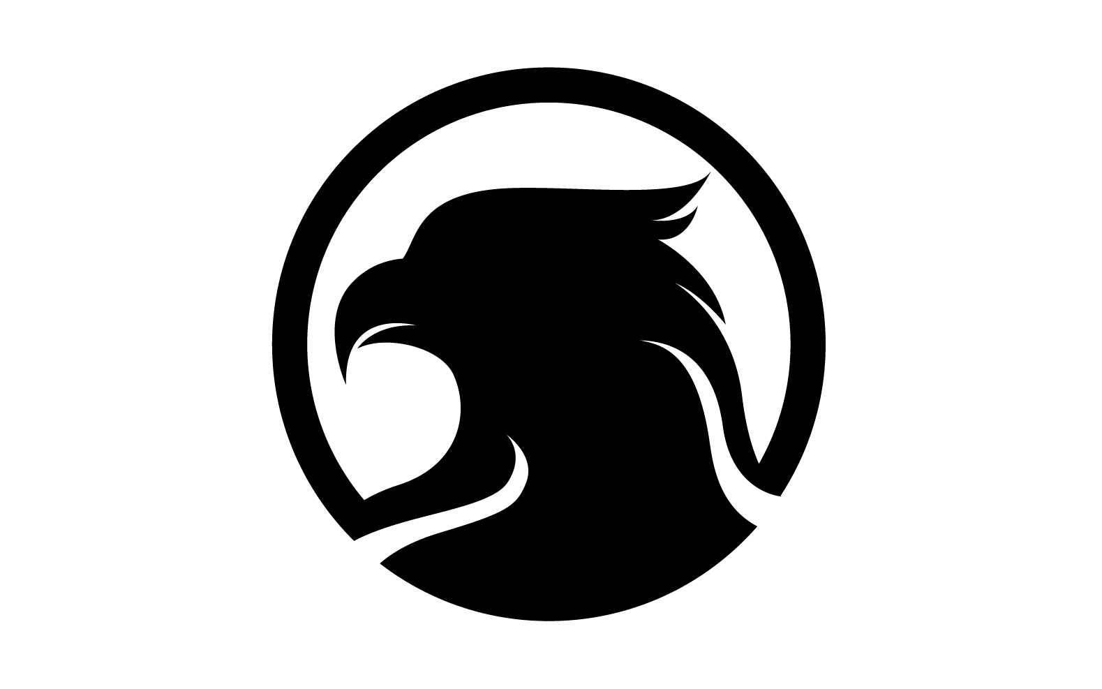 Eagle head Logo Vector icon Template vector v22