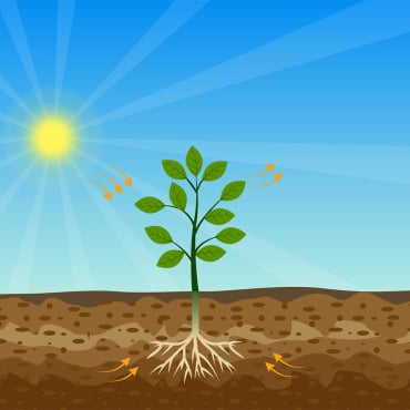 Farming Botanist Stock Video 337448