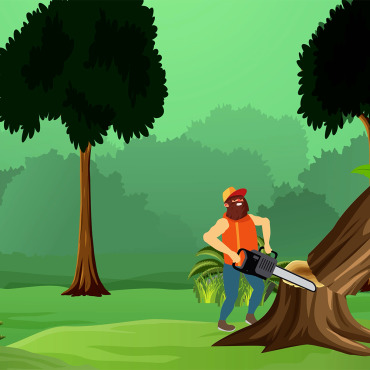 Carpentry Worker Stock Video 337456