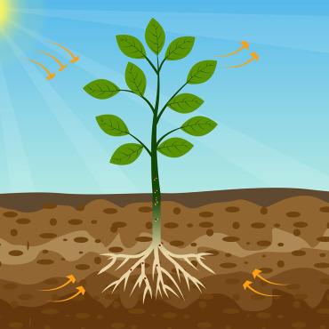 Scientific Educational Stock Video 337462